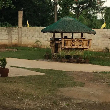 Bumblebee Tanay