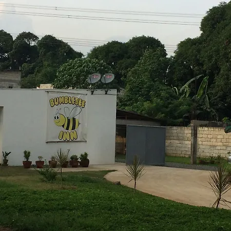 Bumblebee * Tanay