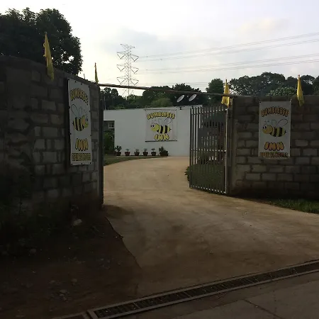 Inn Bumblebee *